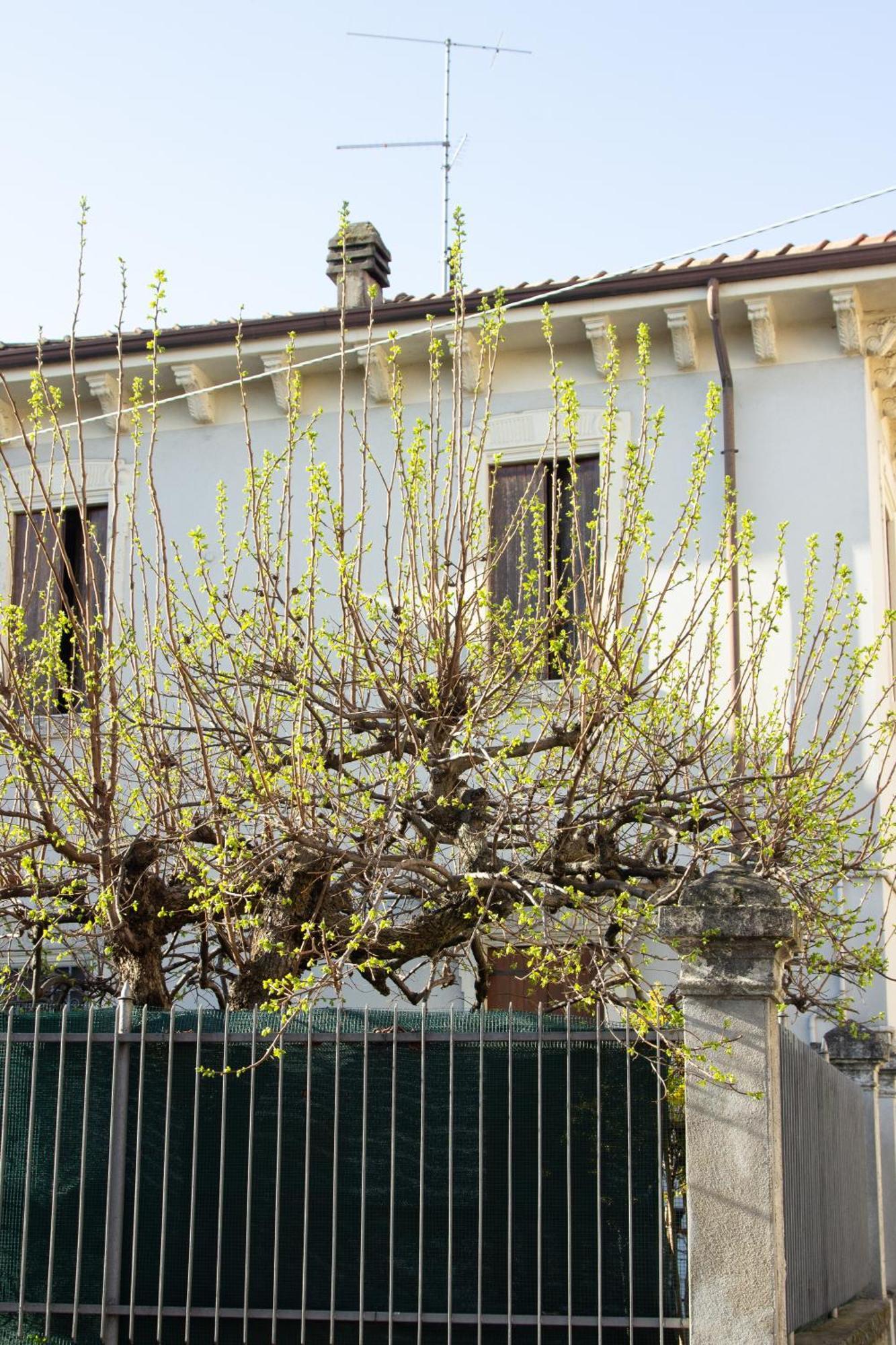 Verona Nest المظهر الخارجي الصورة